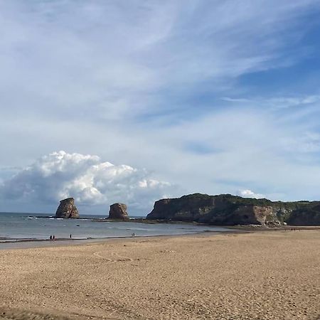 Hendaye Plage Charmant Studio 2Pers Avec Grande Terrasse Vue Mer エクステリア 写真